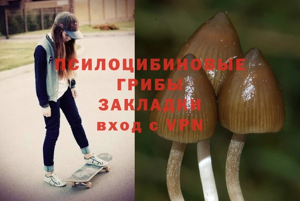 шишки Белокуриха